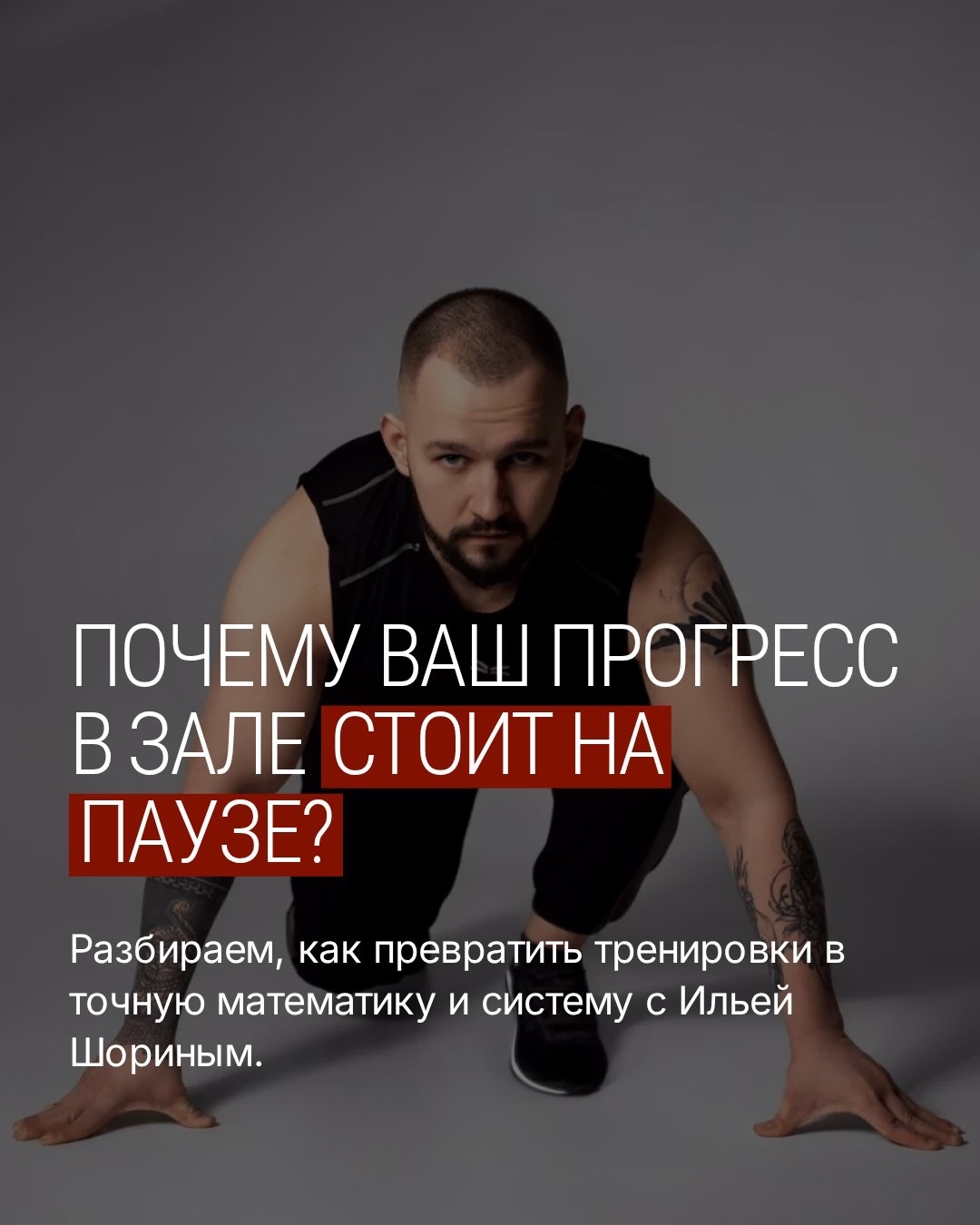 Проект Ильи Шорина — фотография 1